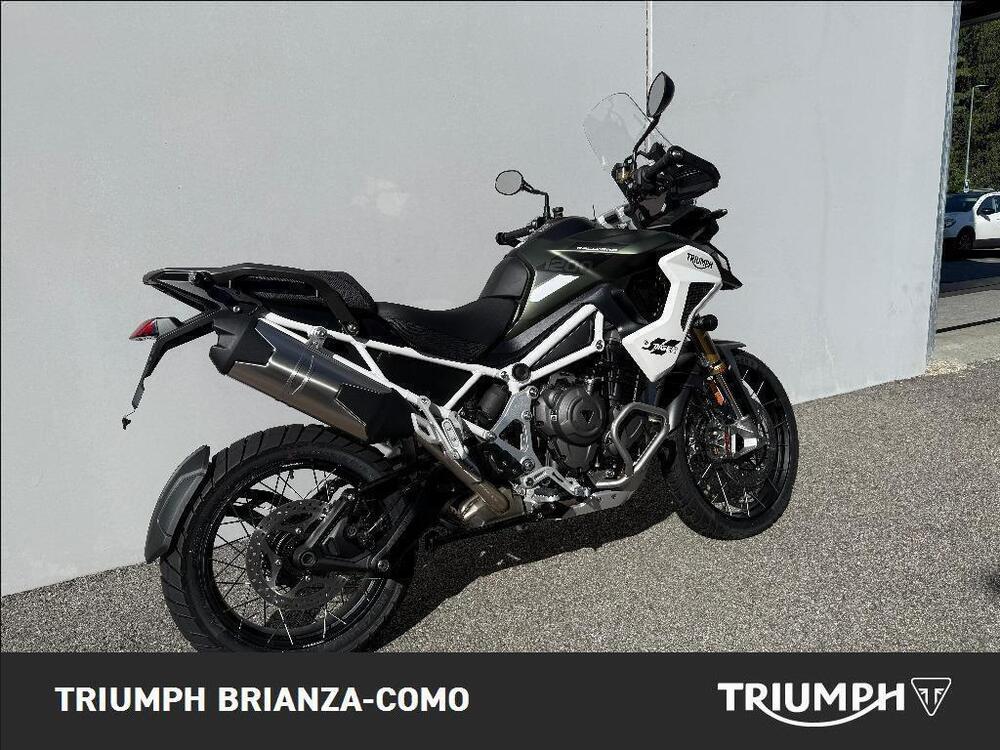 Triumph Tiger 1200 Rally Pro (2024 - 26) (3)
