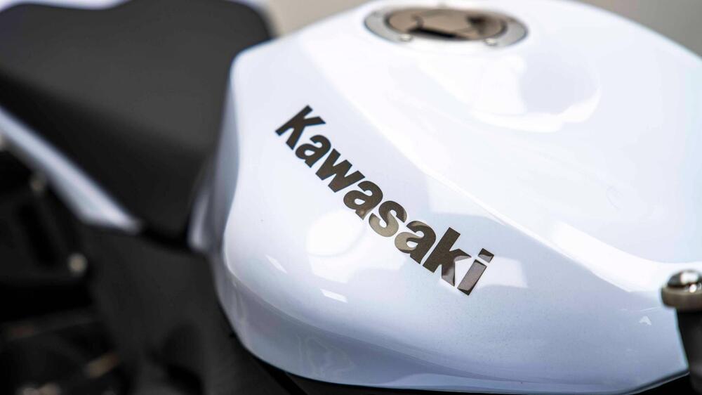 Kawasaki Ninja 600 ZX-6R (2009 - 16) (11)