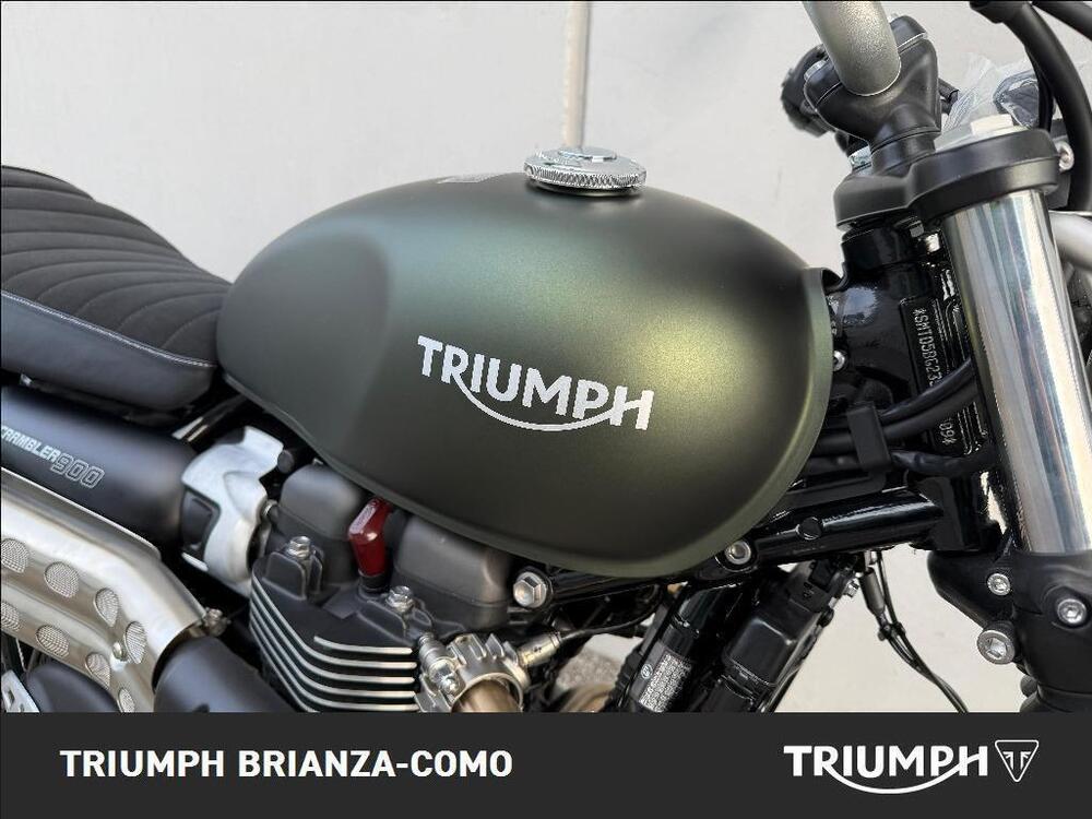 Triumph Scrambler 900 (2023 - 25) (4)