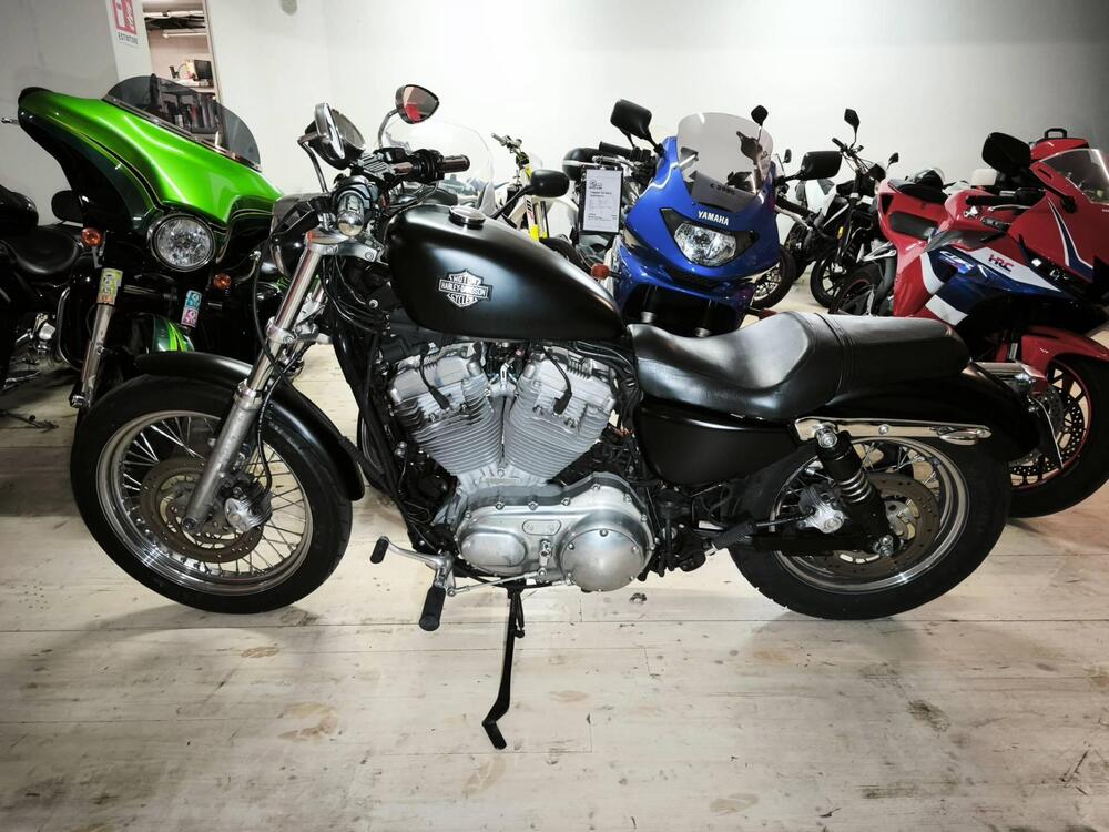 Harley-Davidson 883 (2006 - 07) - XL (2)