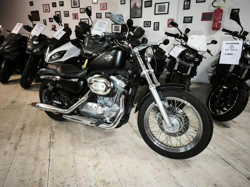 Harley-Davidson 883 (2006 - 07) - XL (3)