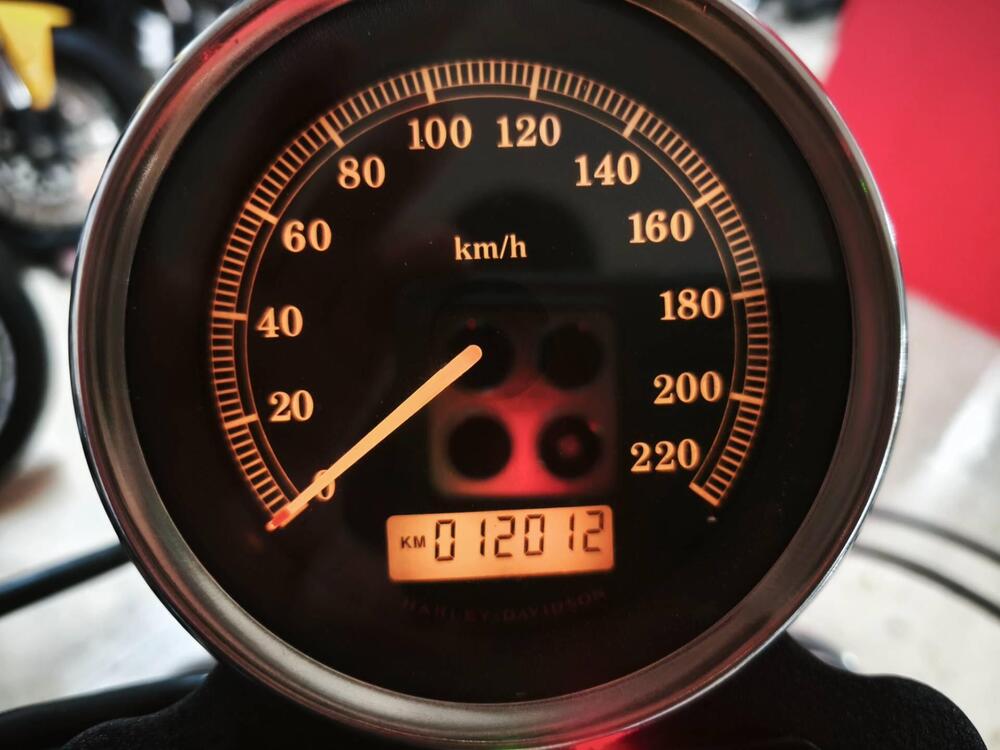 Harley-Davidson 883 (2006 - 07) - XL (5)