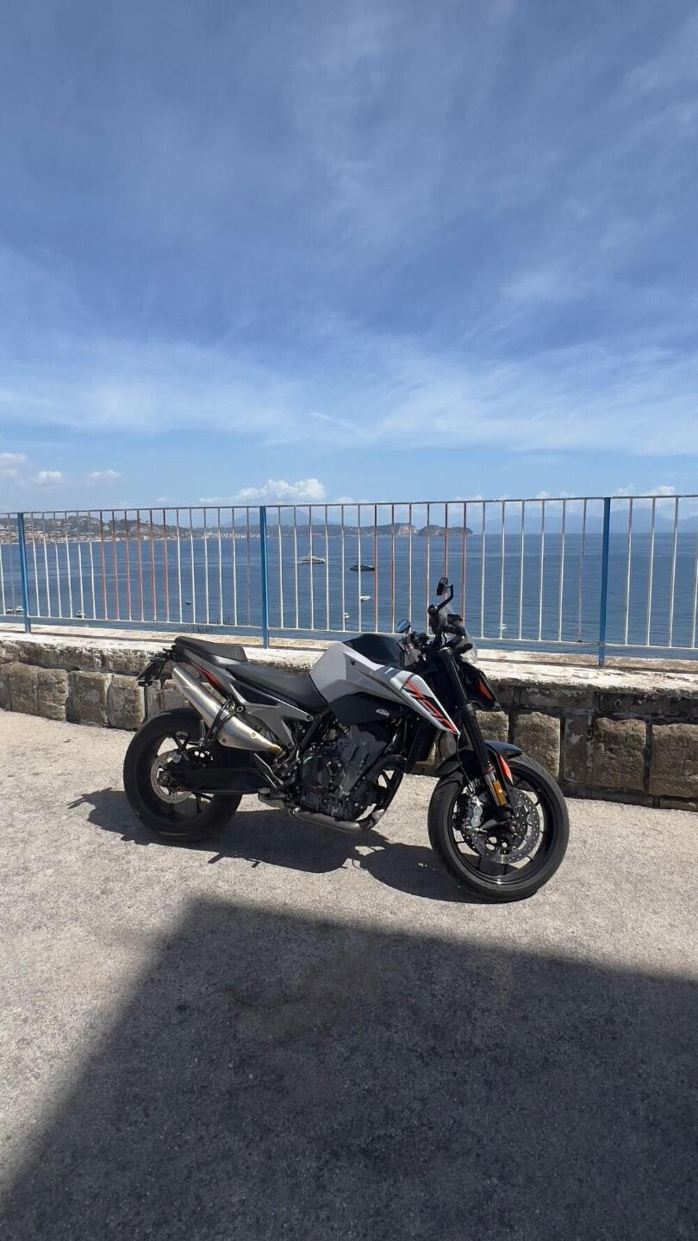KTM 790 Duke L (2023 - 24)