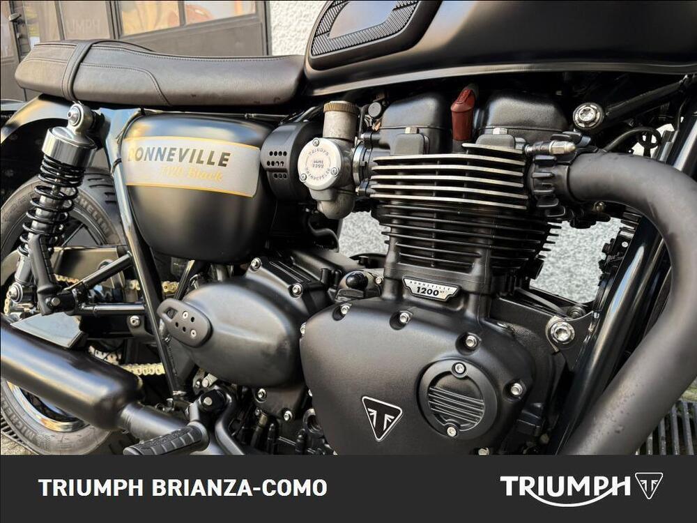 Triumph Bonneville T120 Black (2021 - 25) (7)