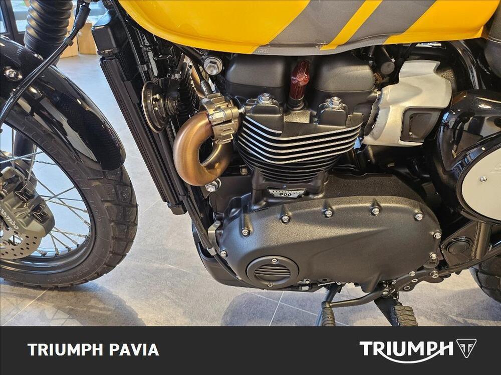 Triumph Scrambler 900 (2023 - 25) (17)