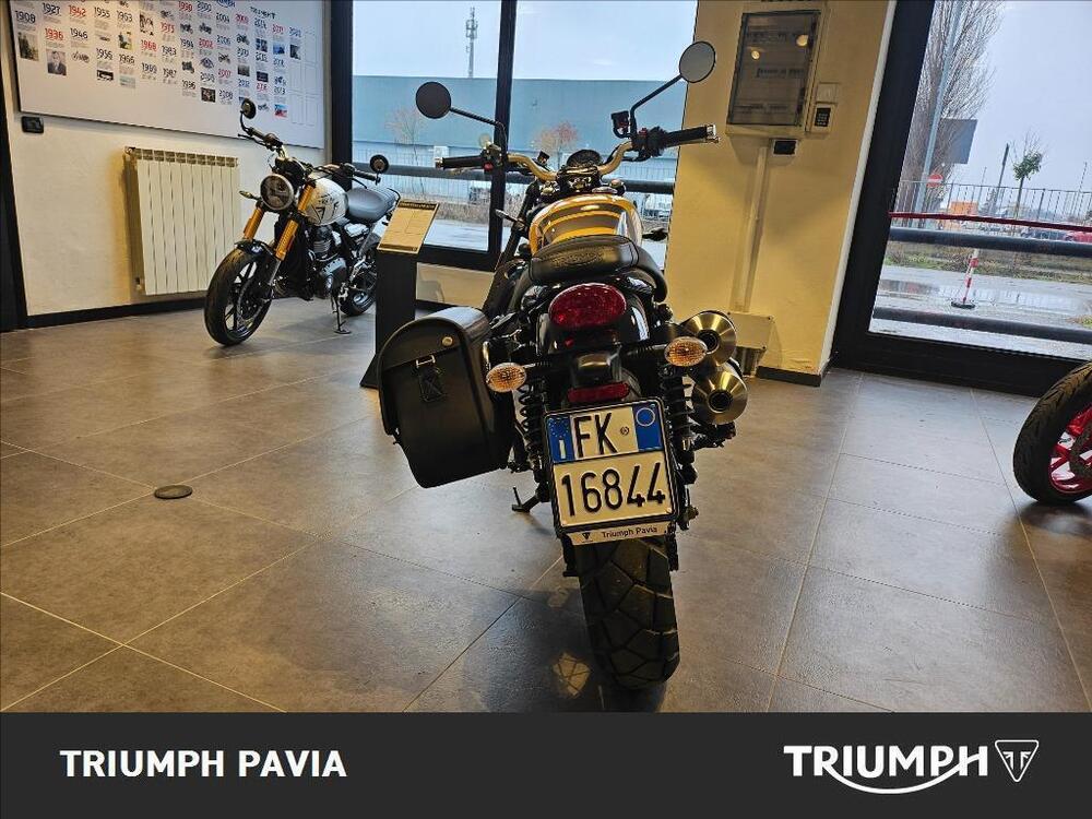 Triumph Scrambler 900 (2023 - 25) (7)