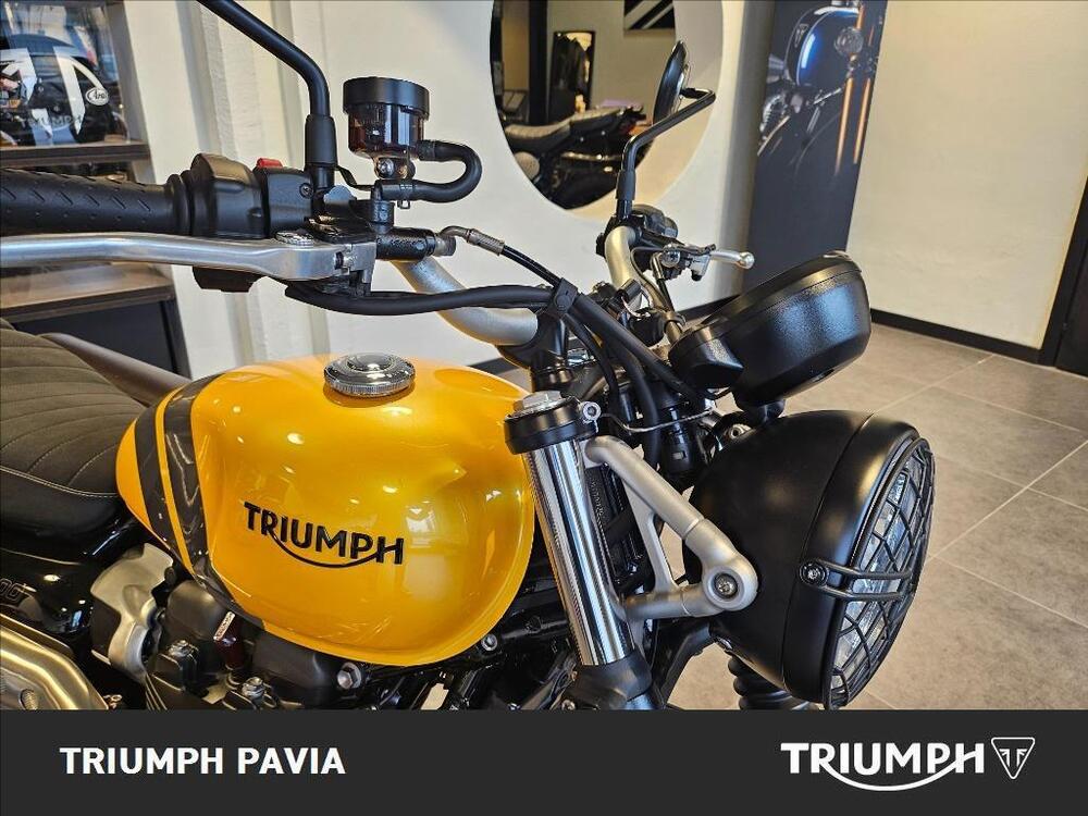 Triumph Scrambler 900 (2023 - 25) (8)