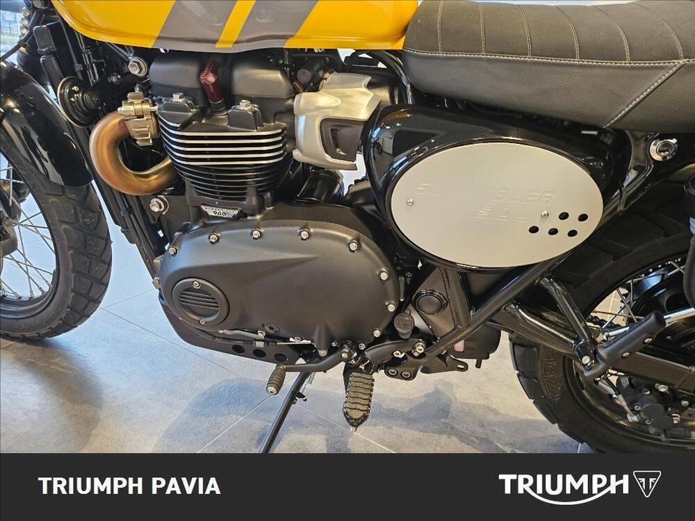 Triumph Scrambler 900 (2023 - 25) (14)