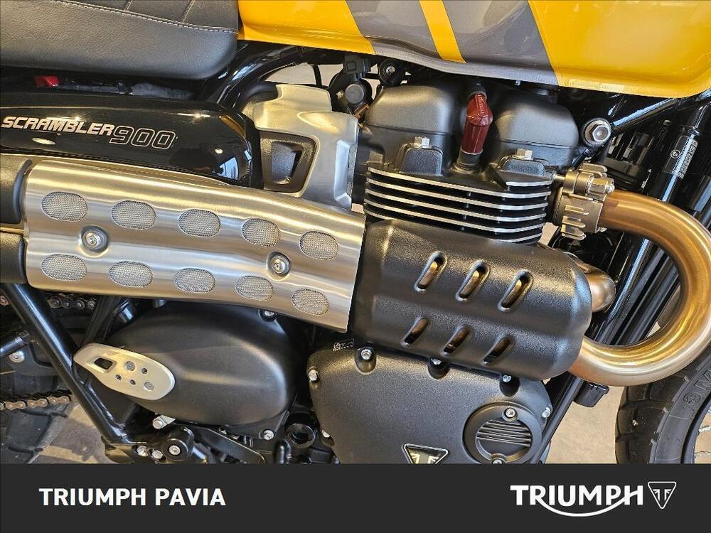 Triumph Scrambler 900 (2023 - 25) (10)