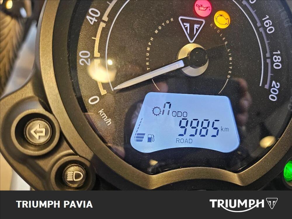 Triumph Scrambler 900 (2023 - 25) (25)