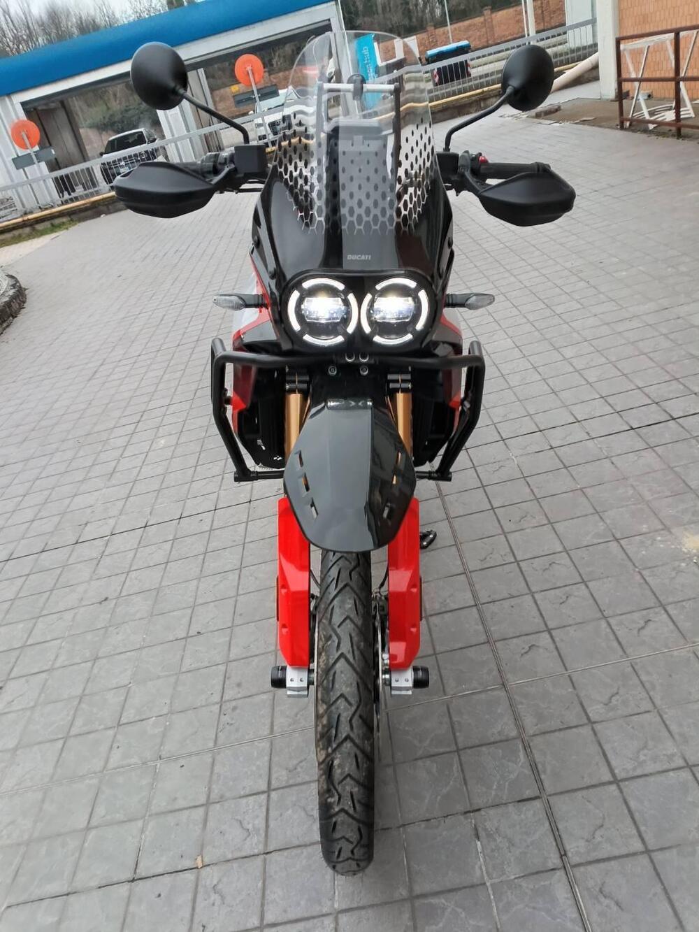 Ducati DesertX Rally (2024 - 25) (7)