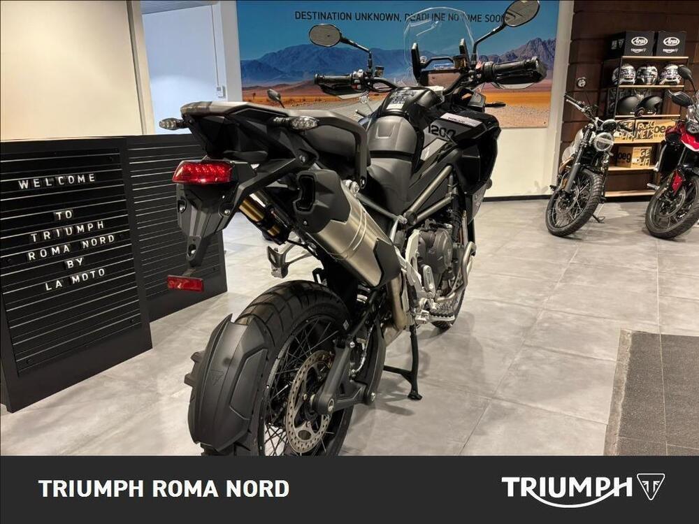 Triumph Tiger 1200 Rally Pro (2024 - 26) (9)