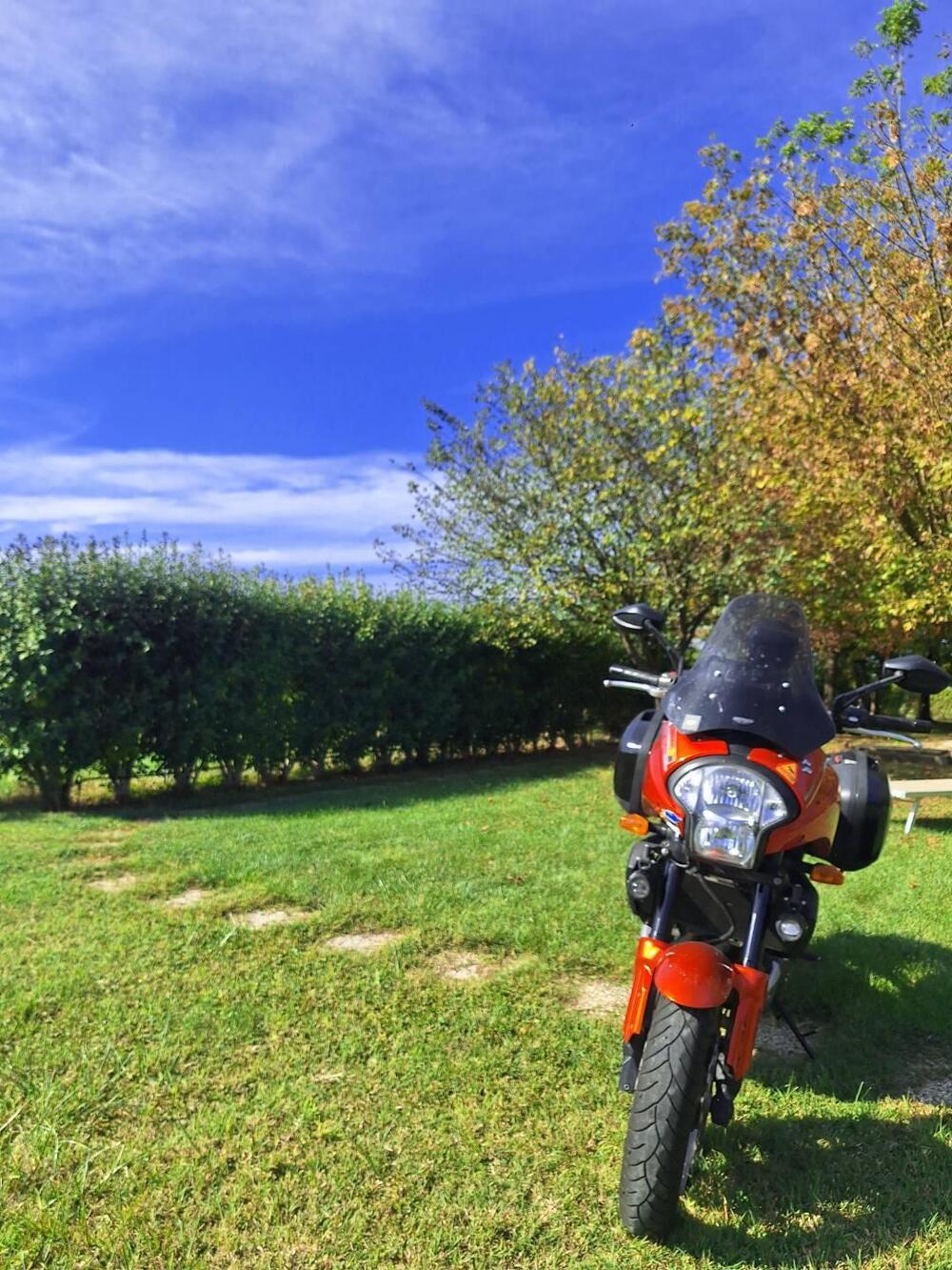 Kawasaki Versys 650 (2006 - 09) (4)