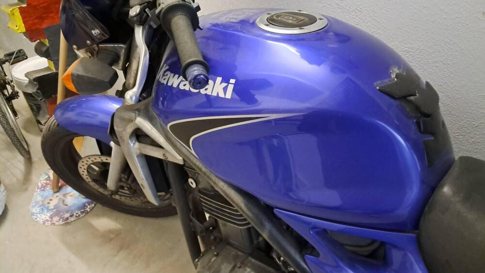 Kawasaki ER-5 500 (2001 - 06) (4)