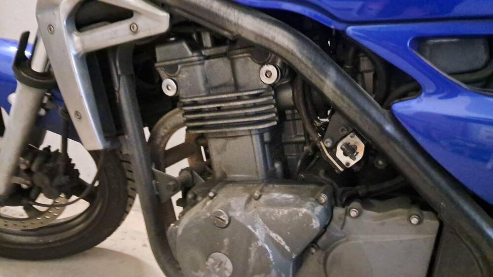 Kawasaki ER-5 500 (2001 - 06) (5)