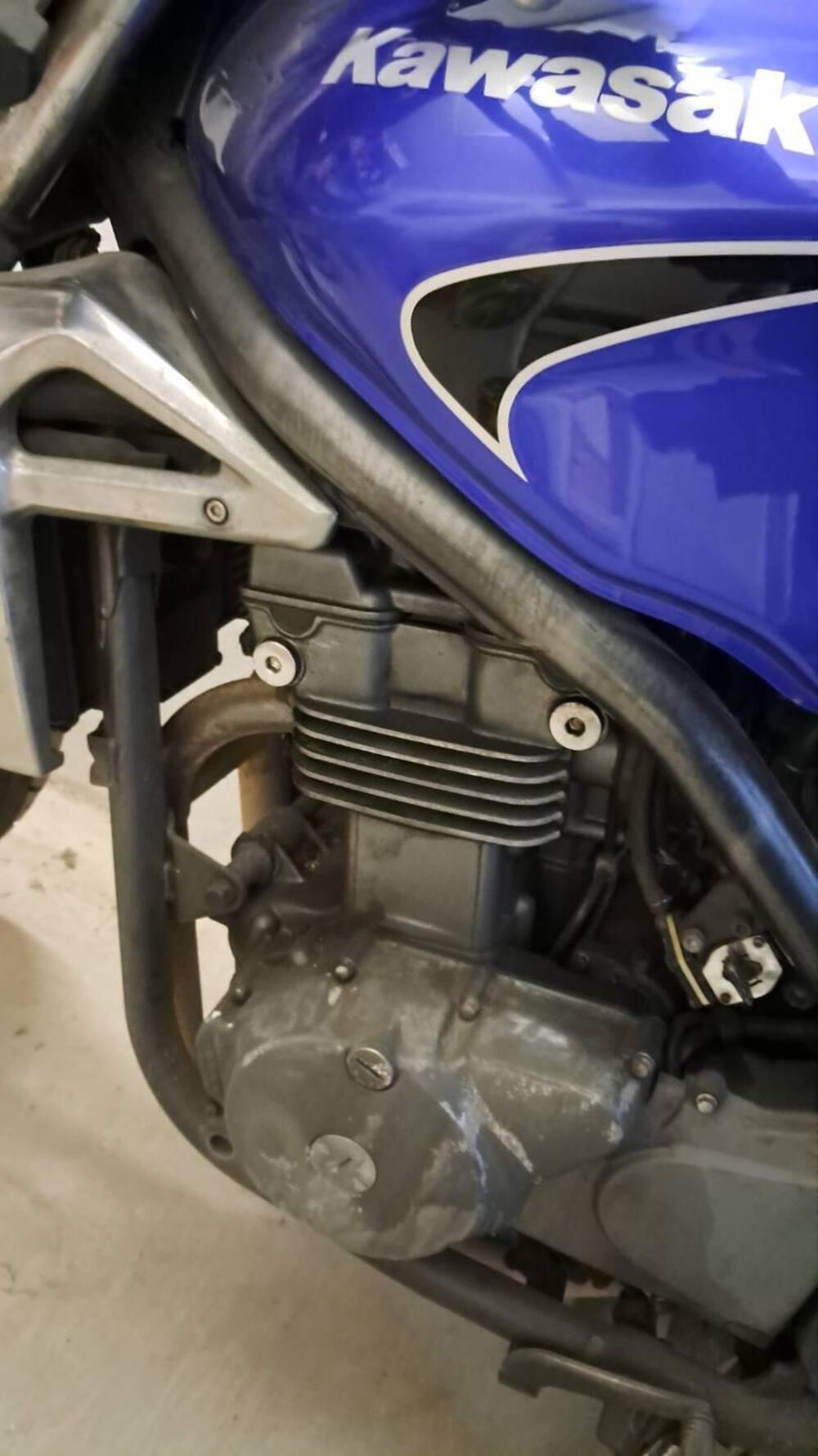 Kawasaki ER-5 500 (2001 - 06) (9)