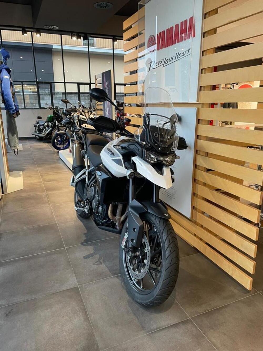 Triumph Tiger 900 GT Pro (2020 - 23) (2)