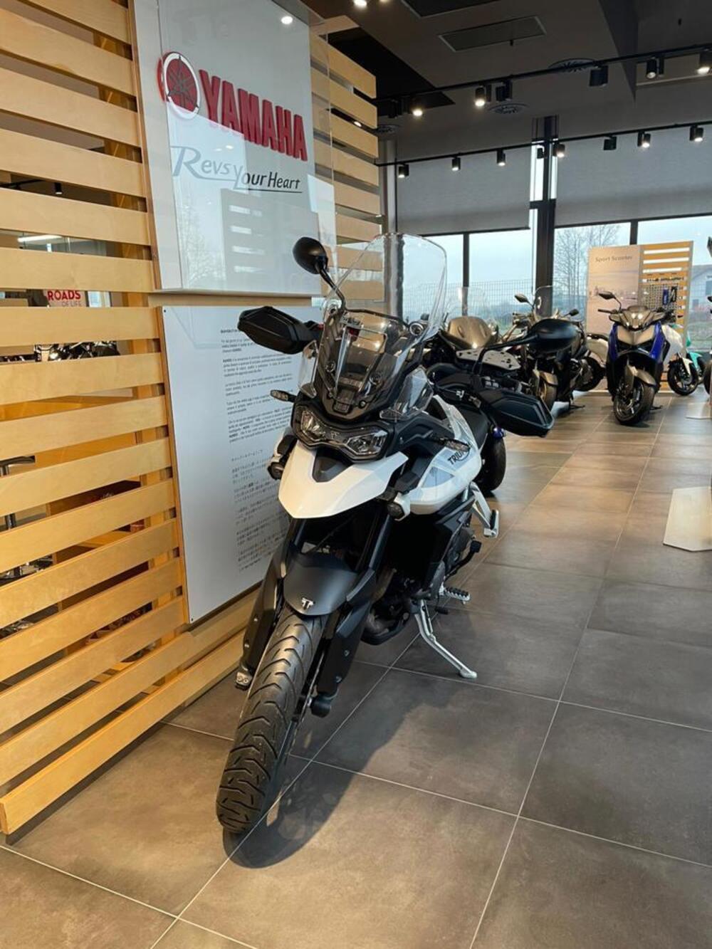 Triumph Tiger 900 GT Pro (2020 - 23) (3)
