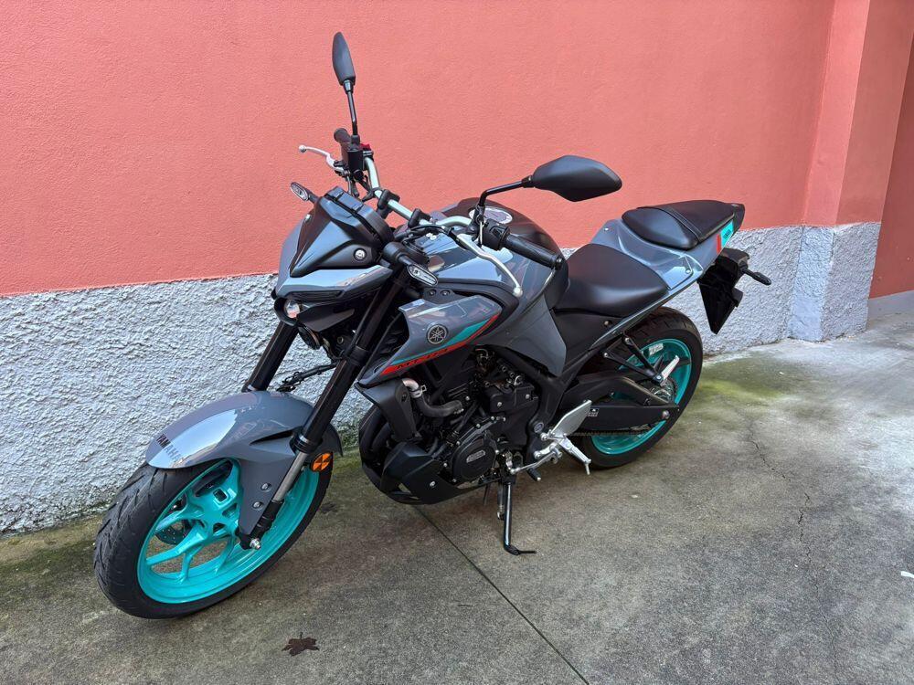 Yamaha MT-03 (2022 - 24) (6)