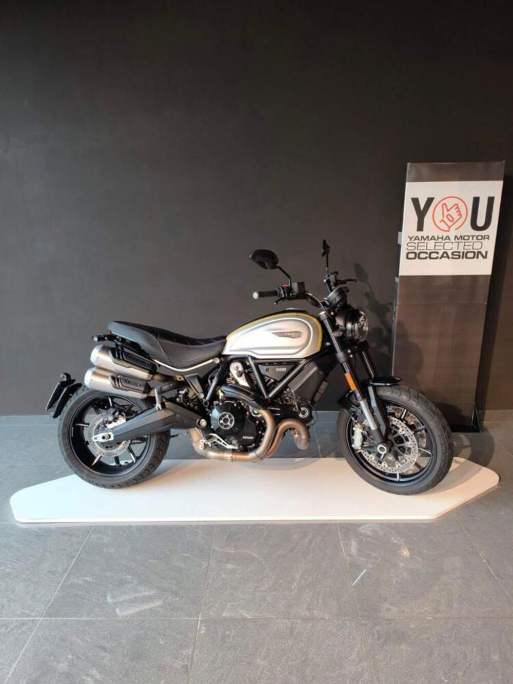 Ducati Scrambler 1100 Pro (2020 - 22)