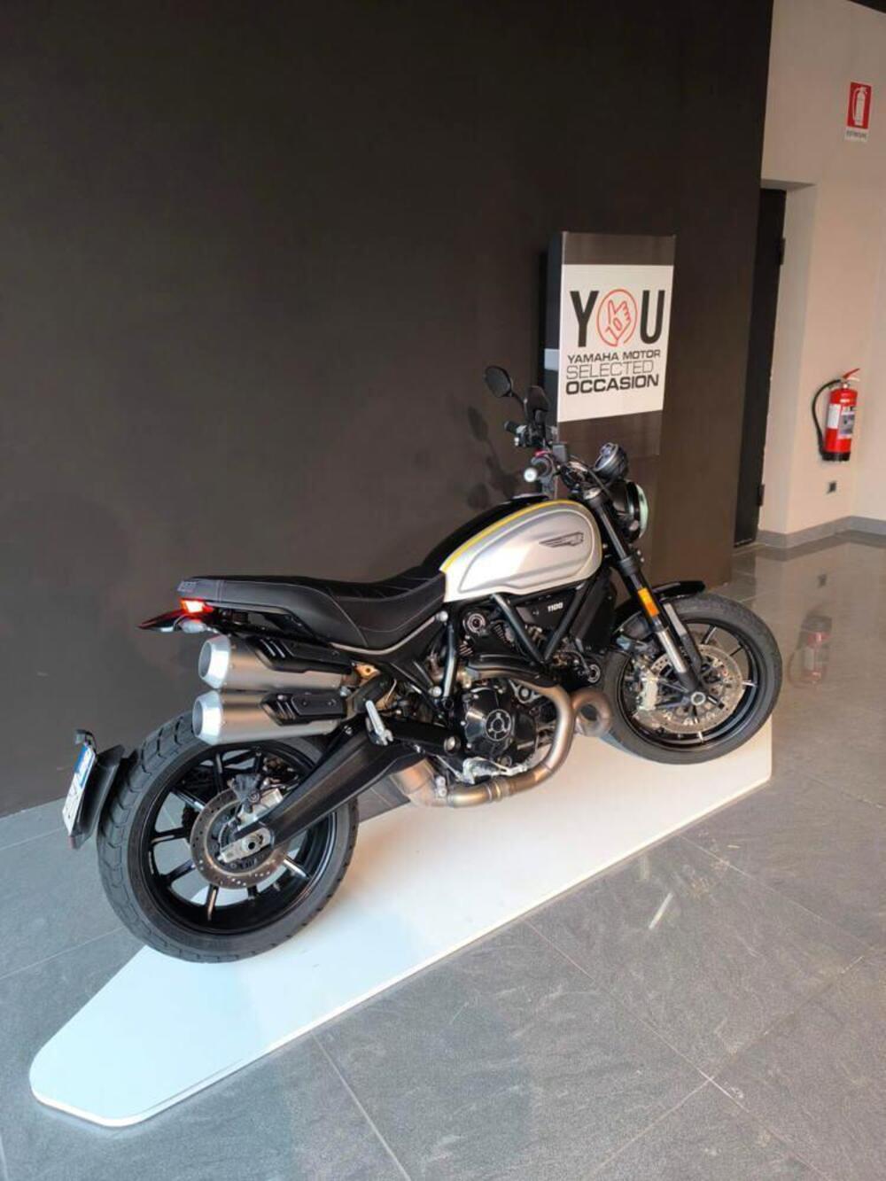 Ducati Scrambler 1100 Pro (2020 - 22) (3)