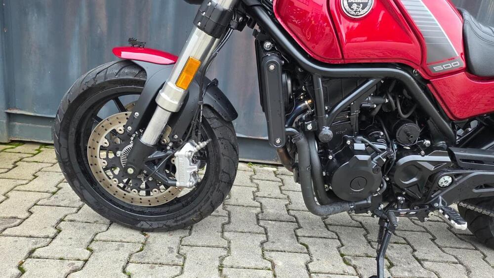 Benelli Leoncino 500 (2021 - 25) (13)