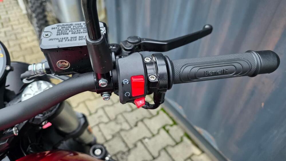 Benelli Leoncino 500 (2021 - 25) (15)