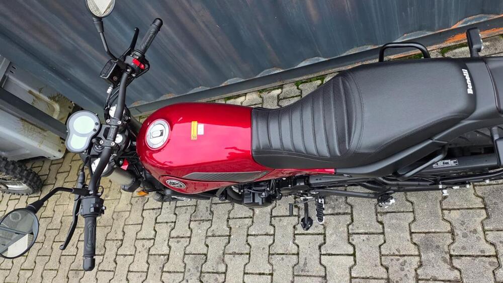 Benelli Leoncino 500 (2021 - 25) (6)