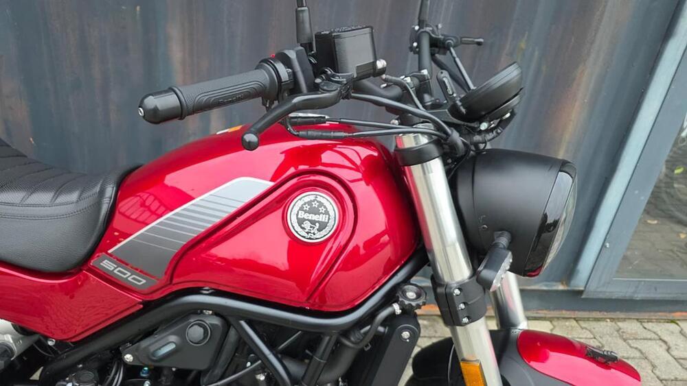 Benelli Leoncino 500 (2021 - 25) (9)