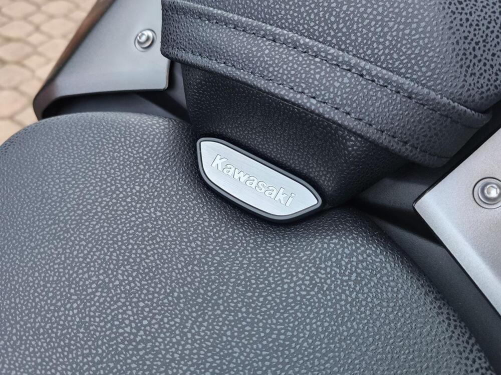 Kawasaki Z 900 (2025 - 26) (13)