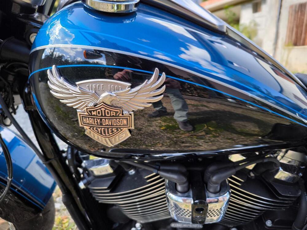 Harley-Davidson 114 Fat Boy (2018 - 20) - FLFBS (7)