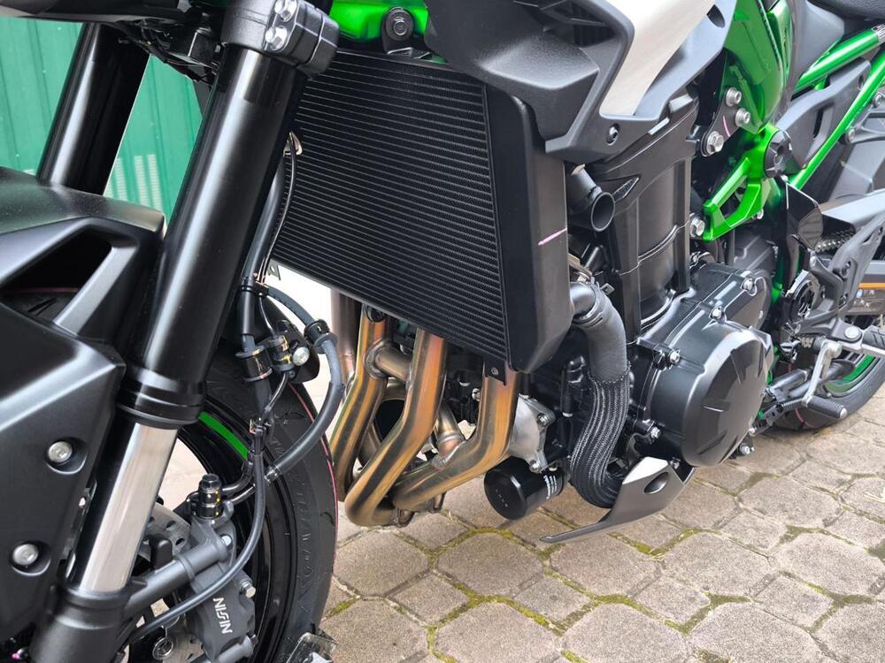 Kawasaki Z 900 (2025 - 26) (6)