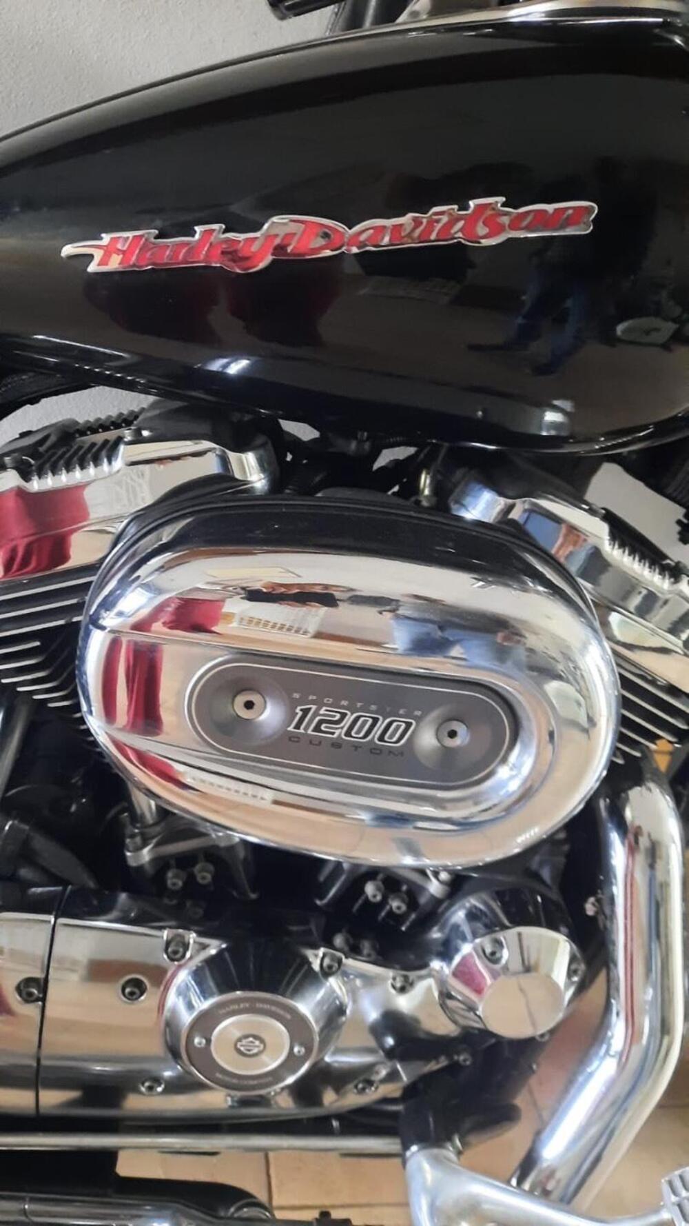 Harley-Davidson 1200 Custom (2004 - 06) - XL 1200C (5)