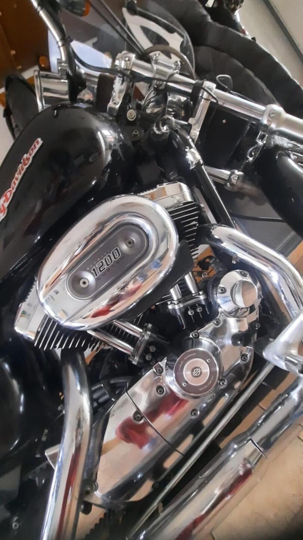 Harley-Davidson 1200 Custom (2004 - 06) - XL 1200C (6)