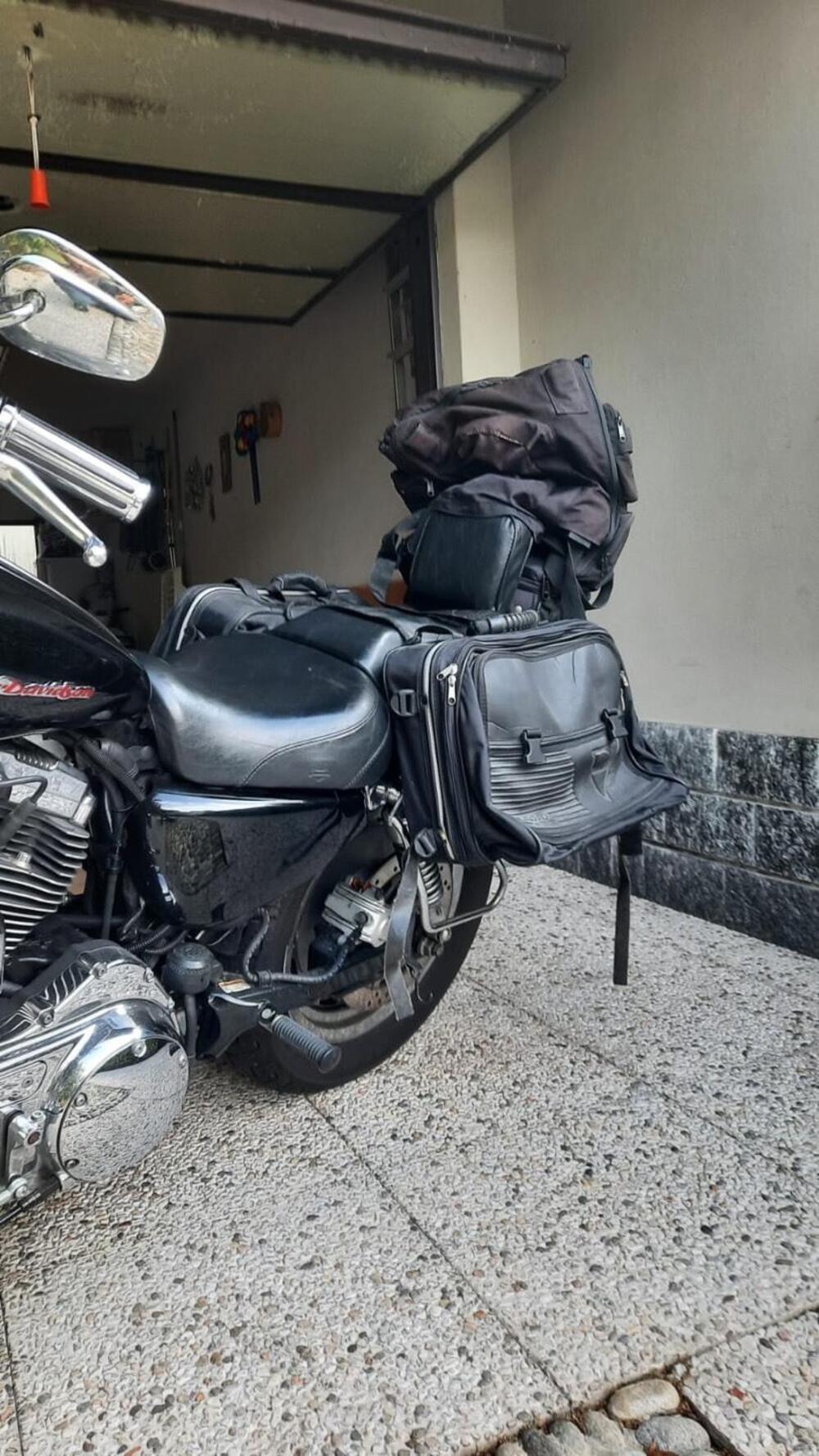 Harley-Davidson 1200 Custom (2004 - 06) - XL 1200C (9)