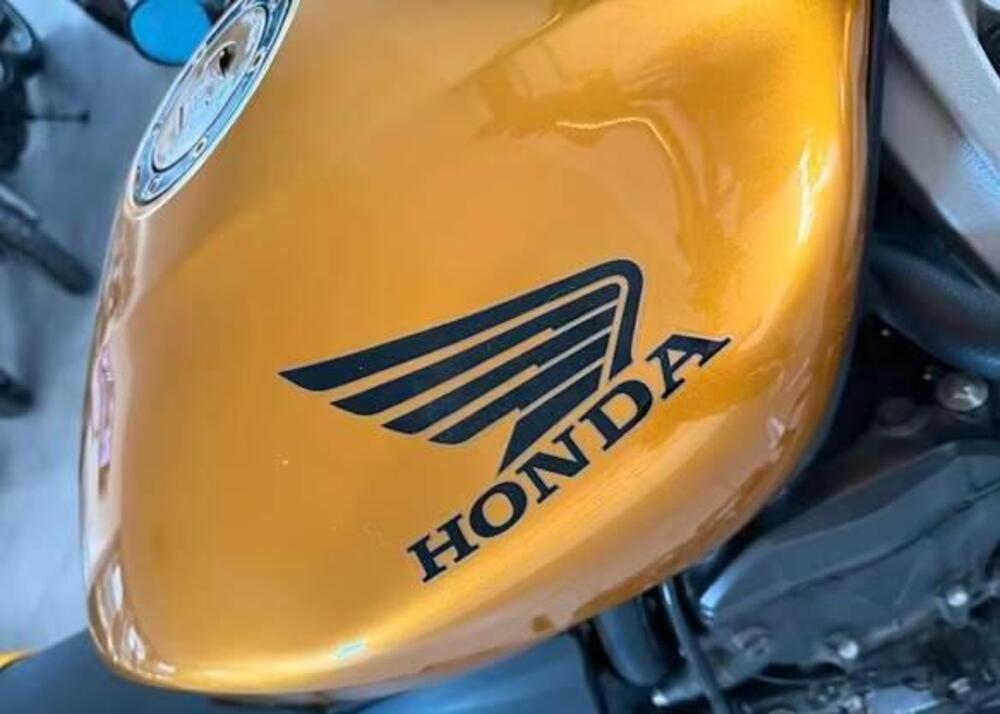 Honda Hornet 600 (2007 - 10) (7)