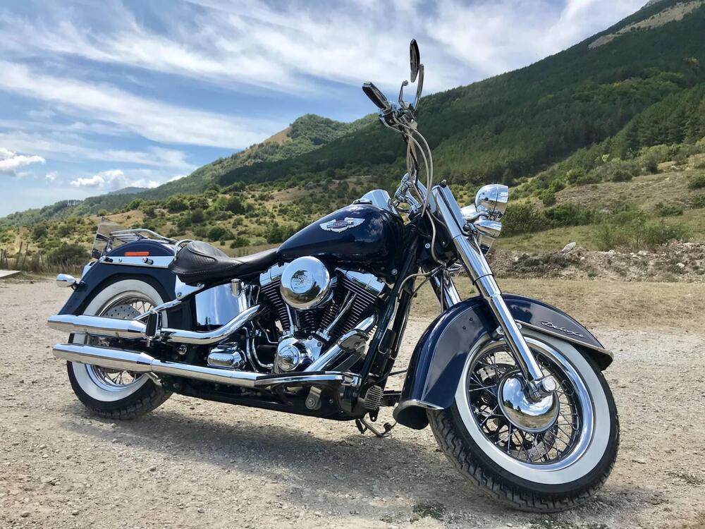 Harley-Davidson 1690 Deluxe ABS (2011 - 16) - FLSTN (14)