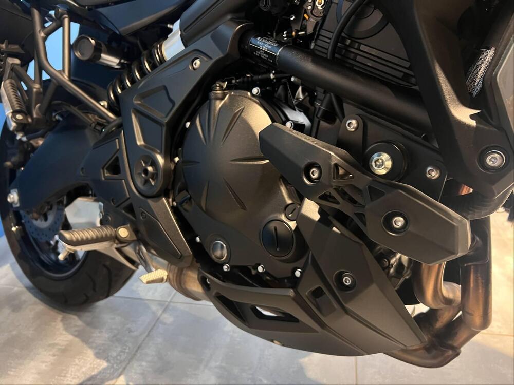 Kawasaki Versys 650 Tourer (2022 - 24) (4)