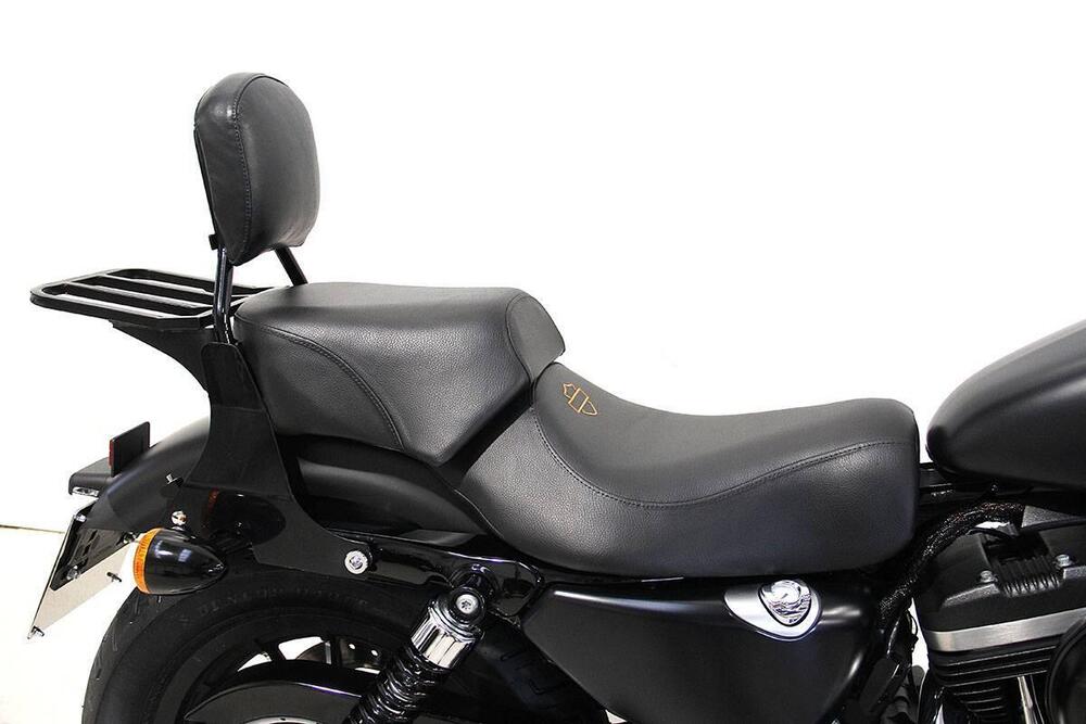 Harley-Davidson 883 Iron (2014 - 16) - XL 883N (7)