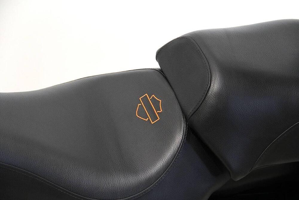 Harley-Davidson 883 Iron (2014 - 16) - XL 883N (12)