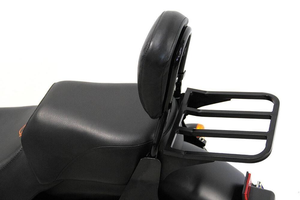 Harley-Davidson 883 Iron (2014 - 16) - XL 883N (14)