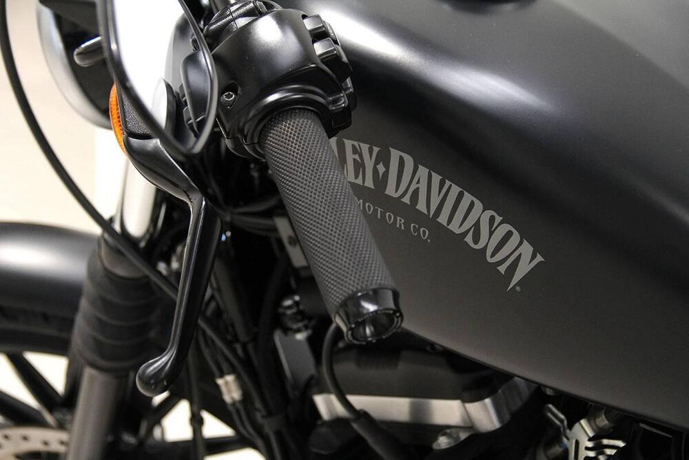 Harley-Davidson 883 Iron (2014 - 16) - XL 883N (15)