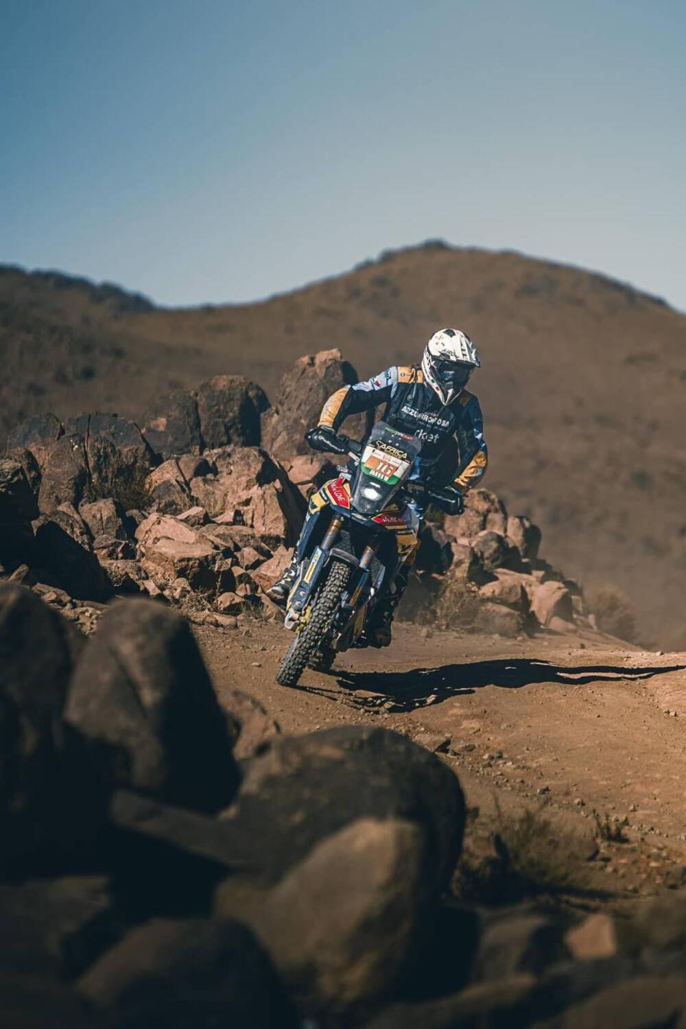 Suzuki V-Strom 800DE (2023 - 24) (5)