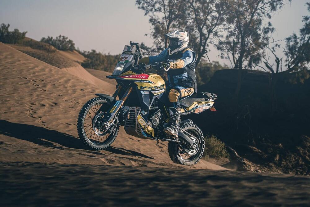 Suzuki V-Strom 800DE (2023 - 24) (6)