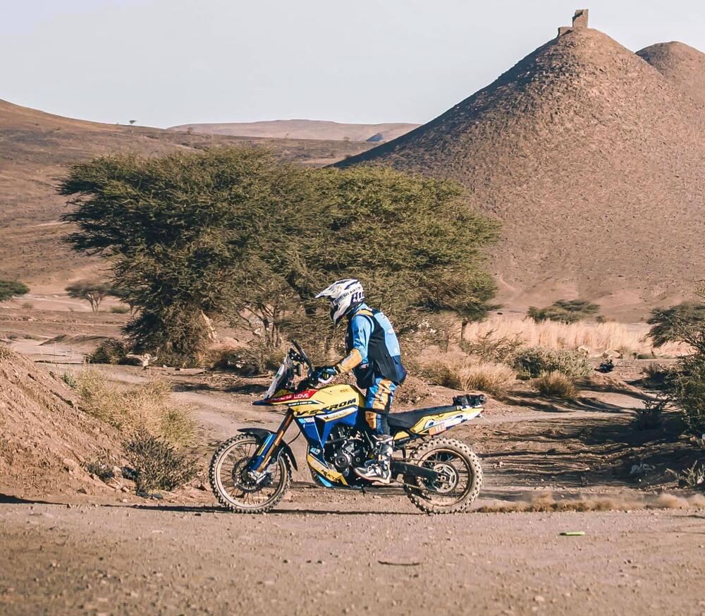 Suzuki V-Strom 800DE (2023 - 24) (4)