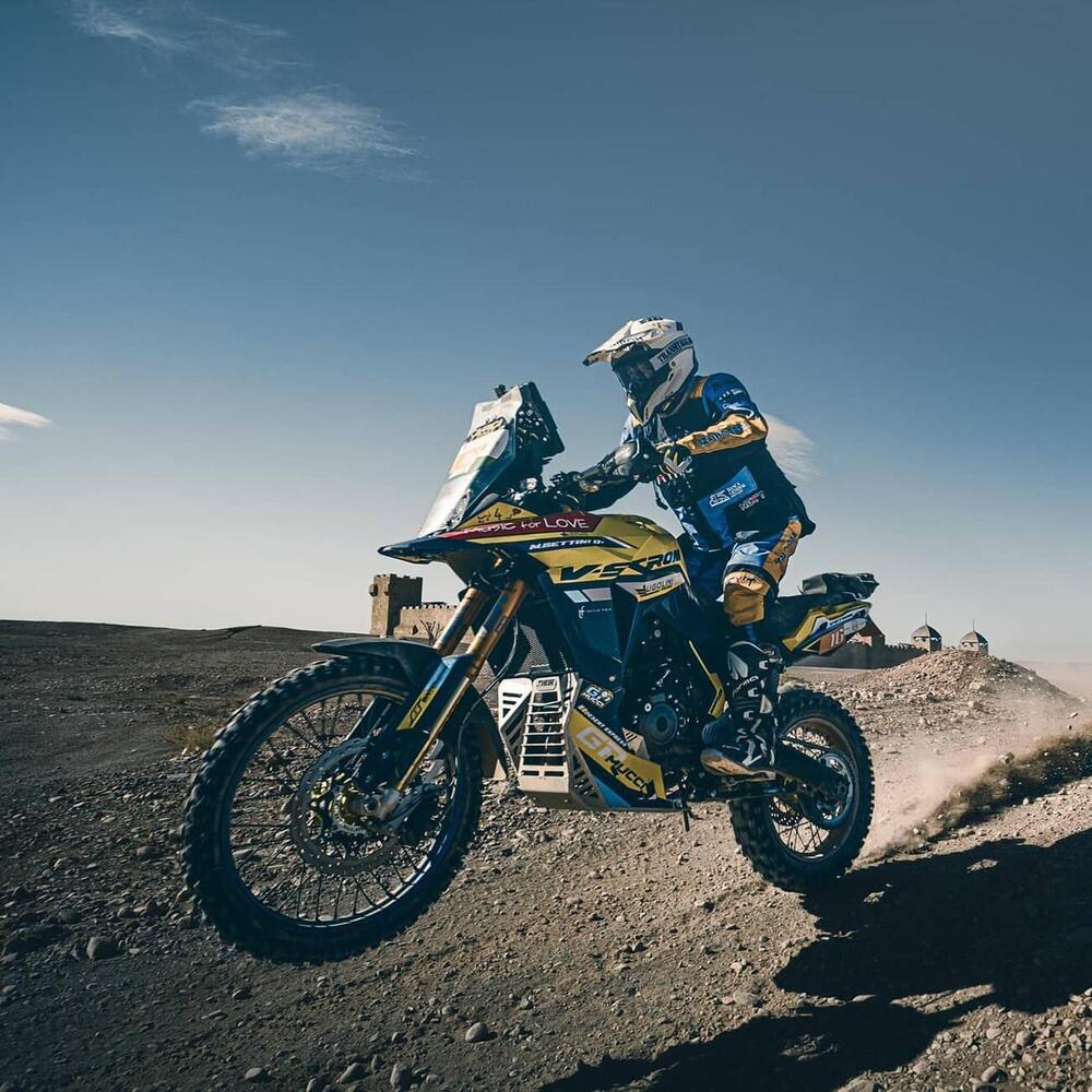 Suzuki V-Strom 800DE (2023 - 24) (2)