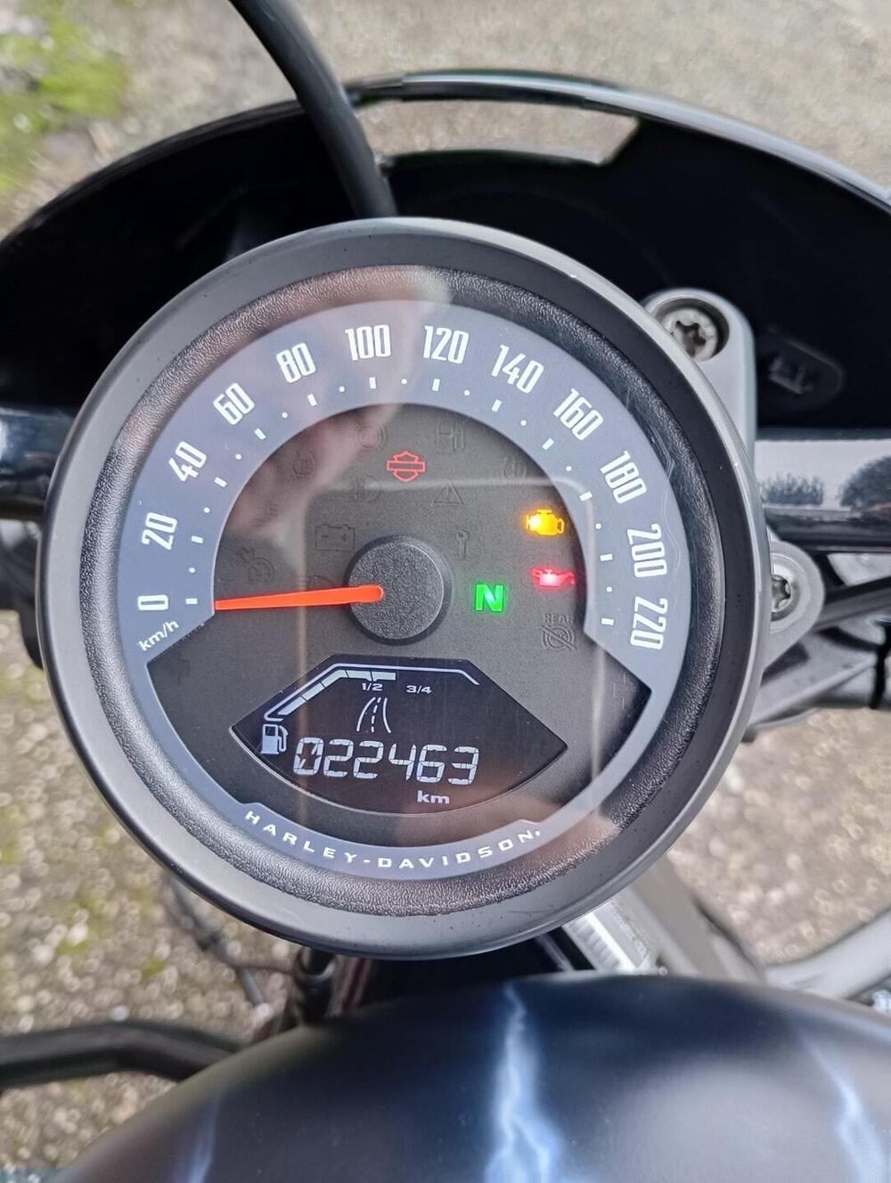 Harley-Davidson Nightster (2023 - 26) (5)