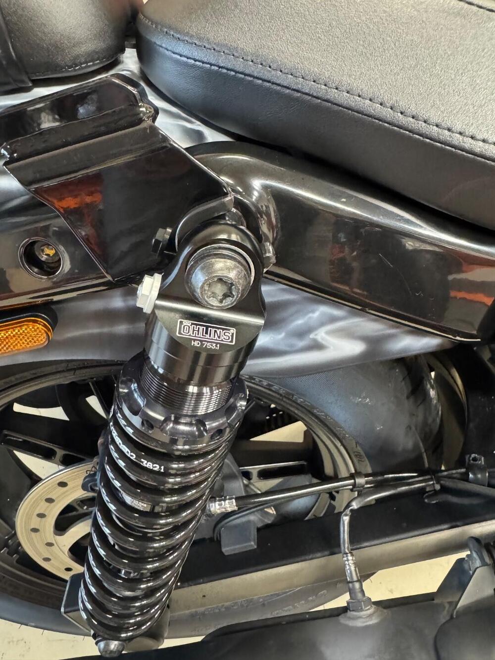 Harley-Davidson Nightster (2023 - 26) (6)