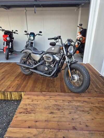 Harley-Davidson 1200 Forty-Eight (2010 - 15) usata