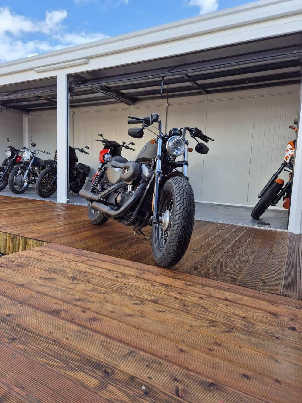 Harley-Davidson 1200 Forty-Eight (2010 - 15) (2)